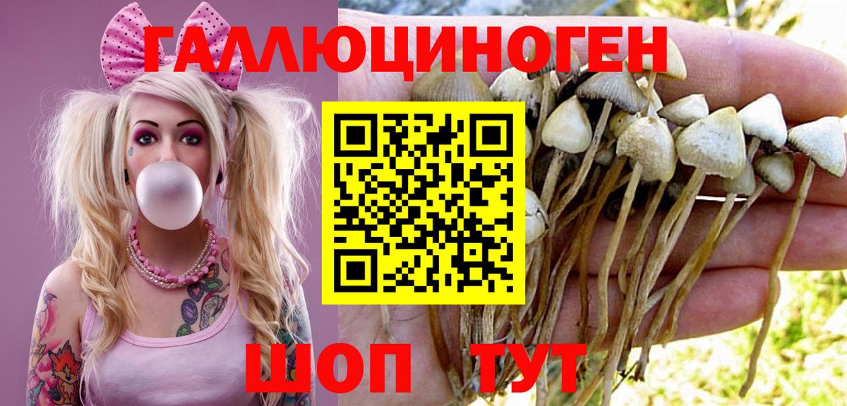Галлюциногенные грибы Cubensis  Вход с VPN  Псилоцибиновые грибы прущие грибы  Янаул 